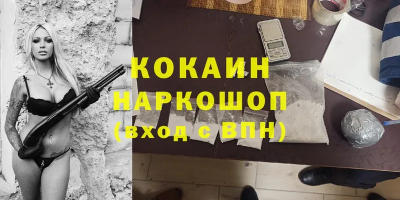 Cocaine FishScale  где купить наркоту  Бакал 